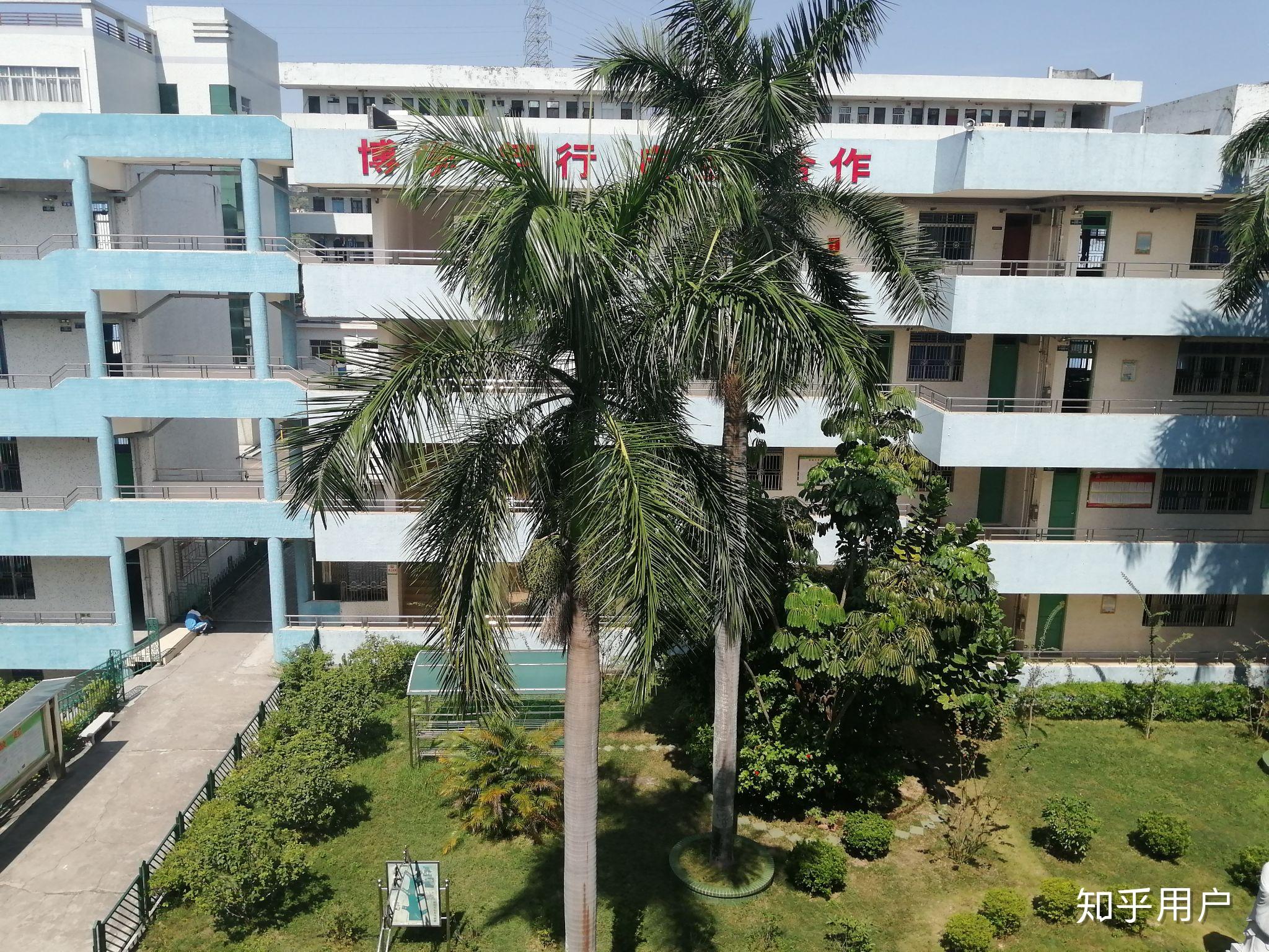 在汕尾新城中学读书是一种什么样的体验