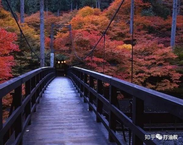 京都高雄古寺通幽 清滝溪谷红叶晚秋 知乎