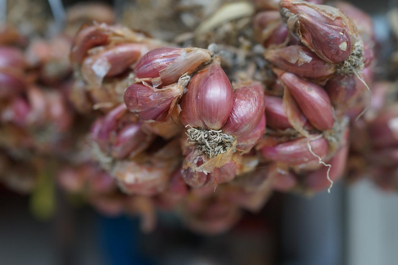 地段决定房价吗?