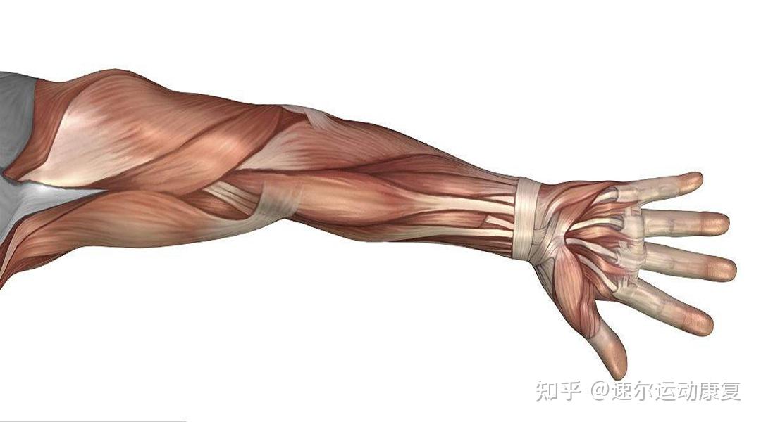 手臂酸疼教你三招缓解