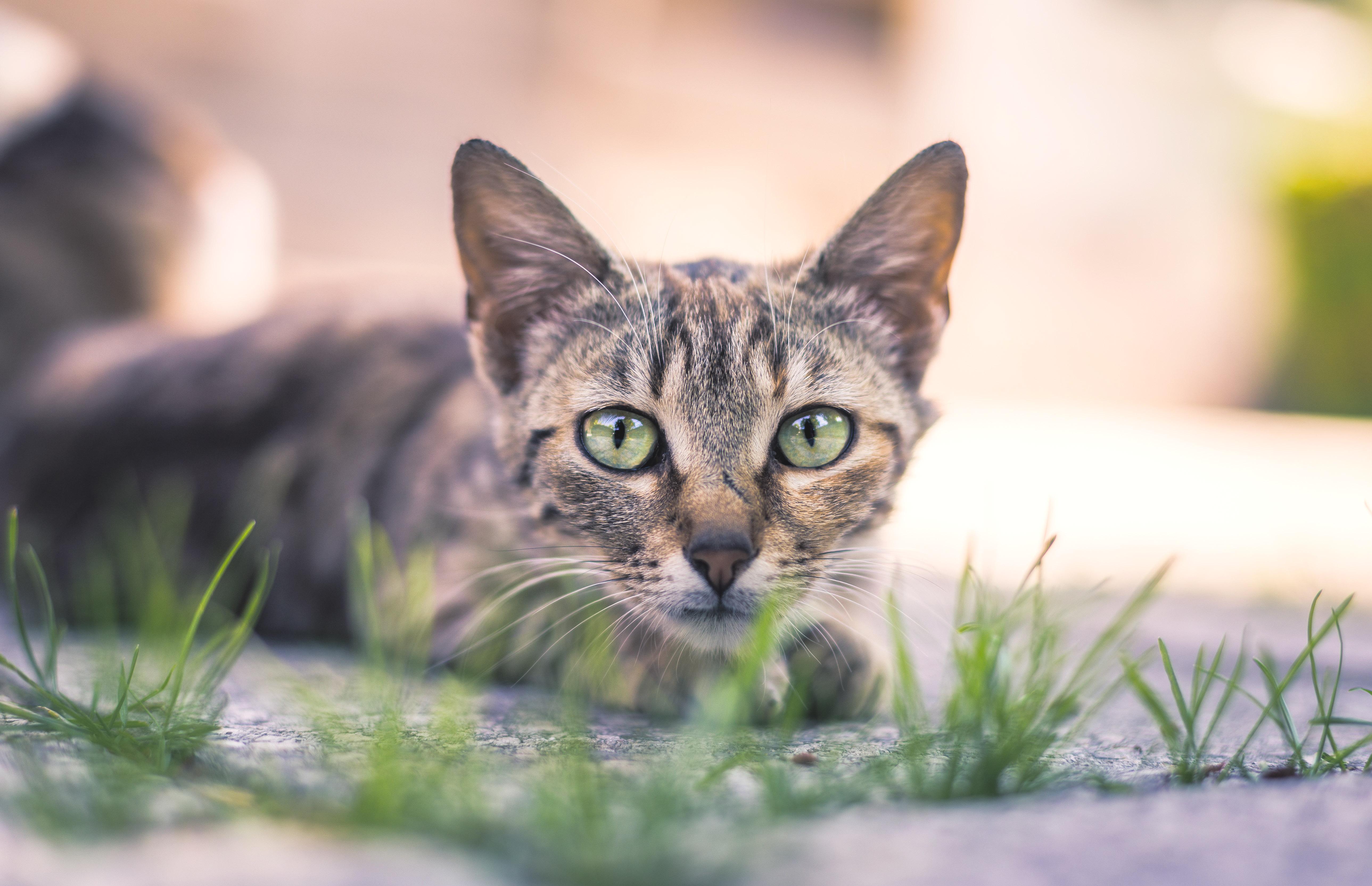 天蝎星座运势2021年运程 v2-fe6cb8d4dc99c8a10a6984766d318324_r.jpg