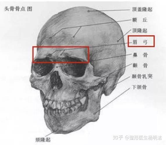 为什么丰眉弓有人恢复快有人恢复慢? - 知乎