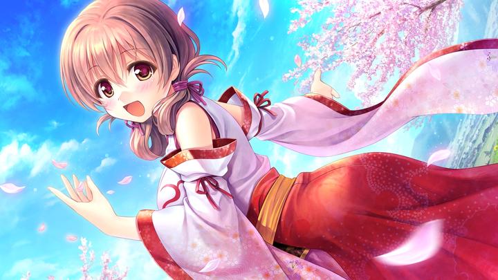 コノフィツム 八重垣姫 （フィシフォルメ 八重垣姫） | 多肉植物を中心