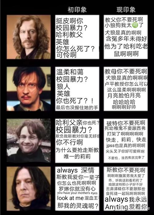 在哈利波特中为什么小天狼星人气那么高