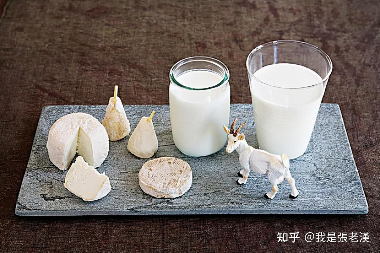 中国人喝羊奶的历史，居然这么悠久？_营养