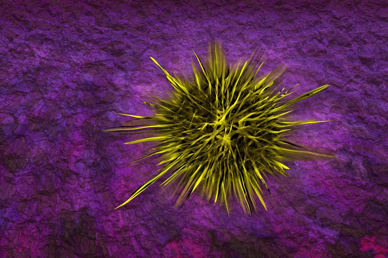 如何清除被子上的螨虫