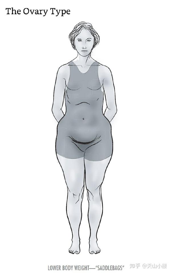 梨形身材 的邓紫棋都瘦了 这 粗腿肥臀 究竟是怎么形成的 谈谈卵巢型 知乎