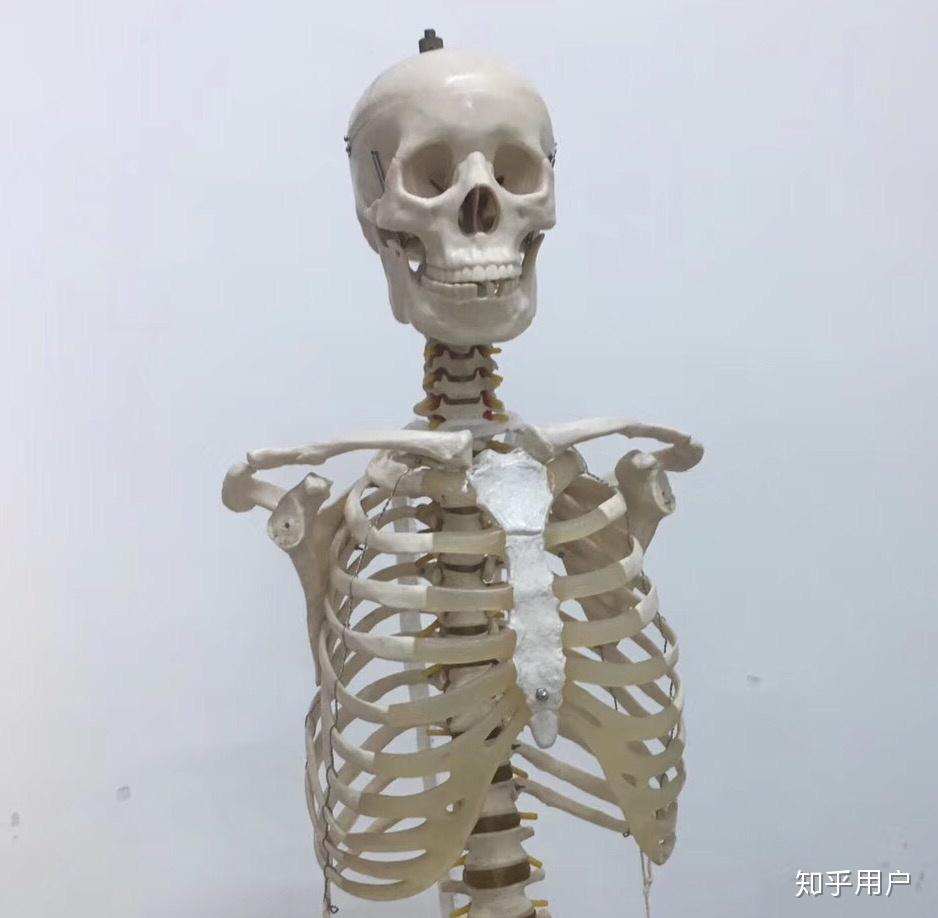 有哪些有趣的医学生专用的沙雕表情包