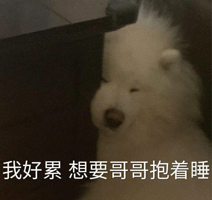 有哪些可以哄男朋友开心的表情包?