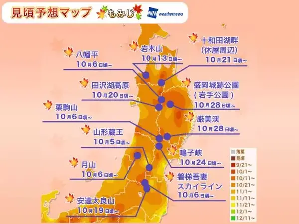 17日本最全賞楓攻略 9月北海道楓葉已經變紅 中國熱點