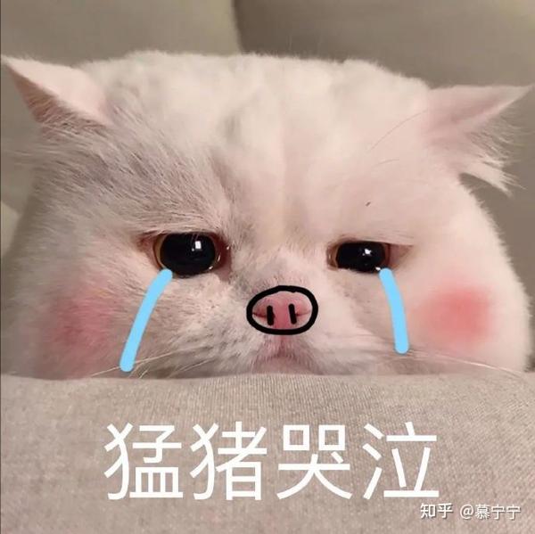 一组搞笑的伤心难过表情包~ - 知乎
