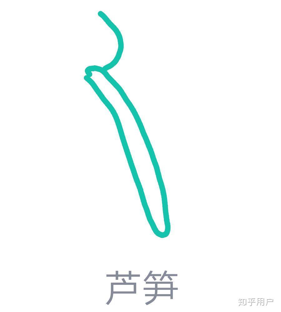 qq红包怎么画芦笋