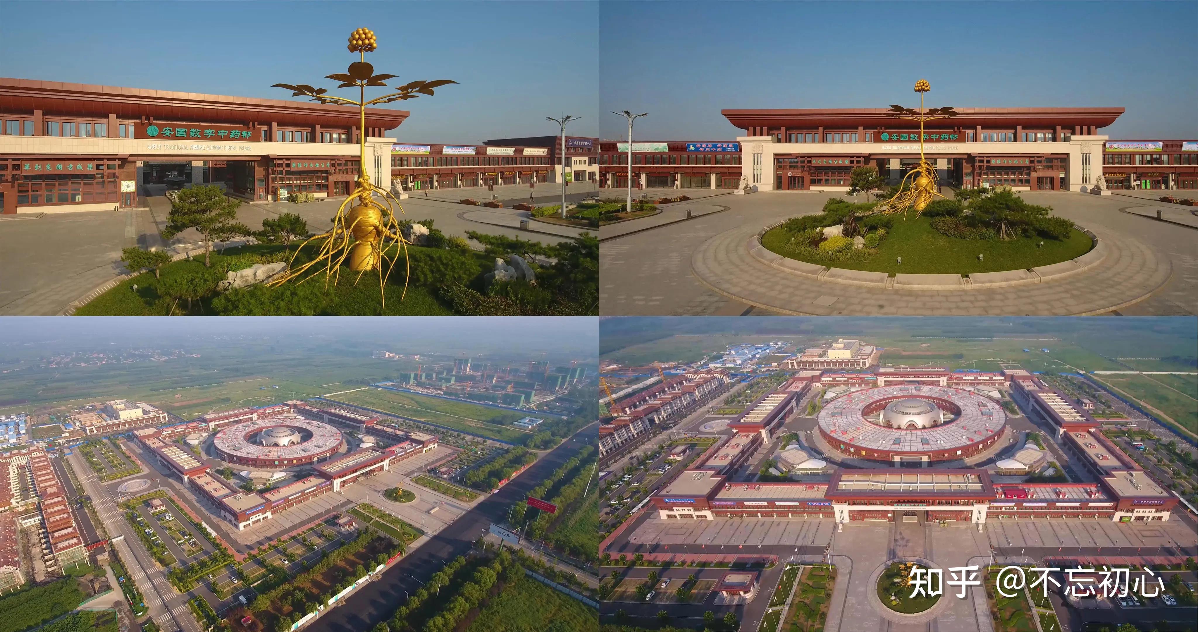 中国十七家大型中药材批发市场，看看在你的家乡没有 知乎 