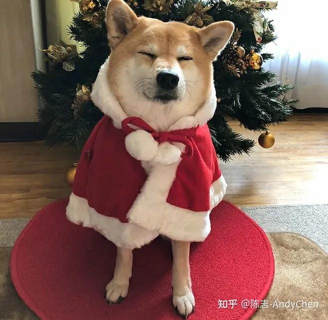 这几招快速区分 - 知乎