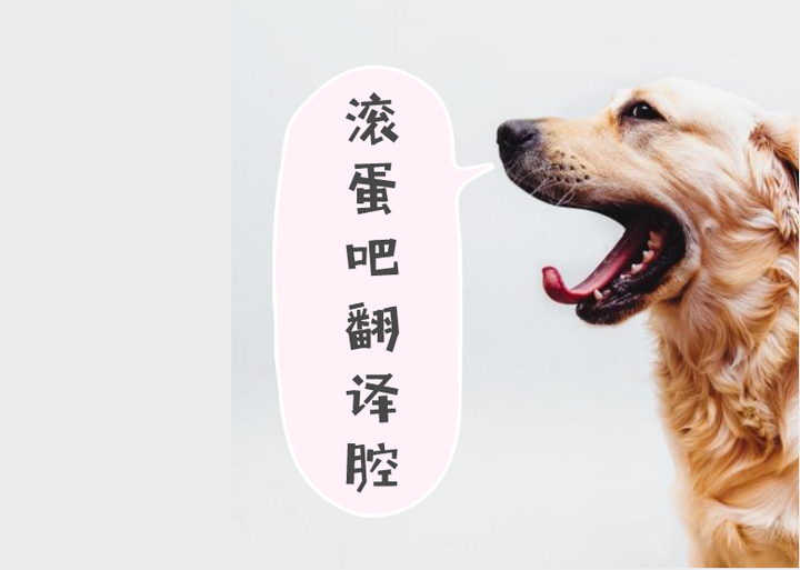 玩转Canon的AFON自动曝光锁和快门按钮 蜂鸟摄影论坛