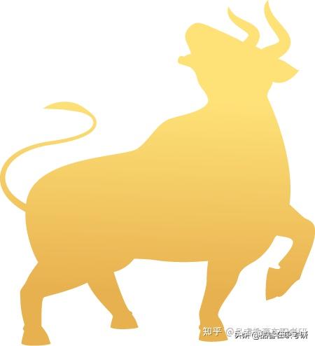 牛气冲天且试锋芒品睿教育2020年度总结暨新年计划