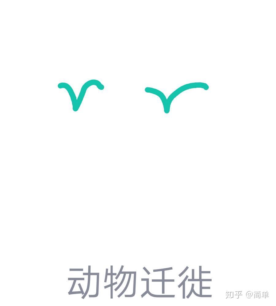 qq红包中的动物迁徙怎么画