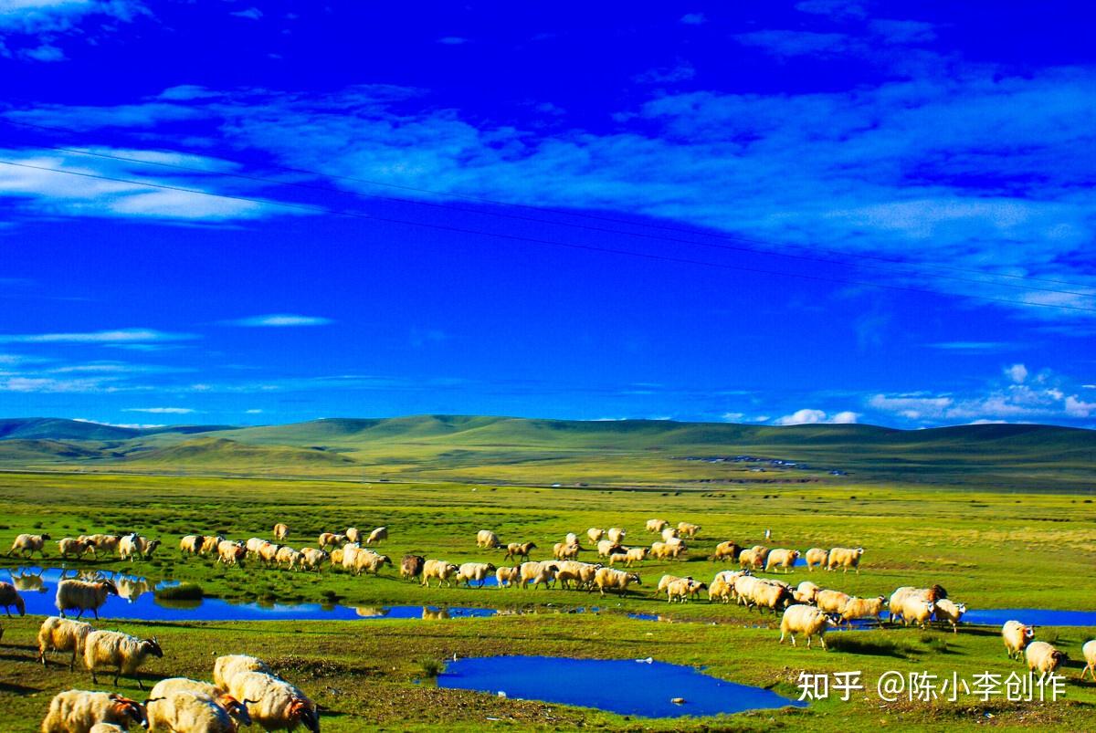 西藏双湖县：海拔最高的“人间奇迹”，许多人羌塘梦开始的地方。 - 知乎