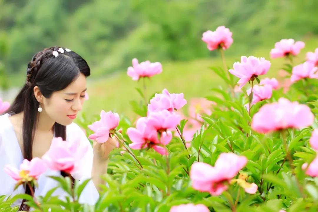 花里安福向美而生