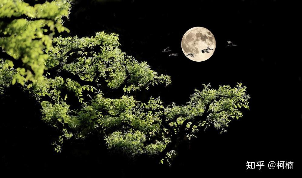 忆秦娥一轮圆月