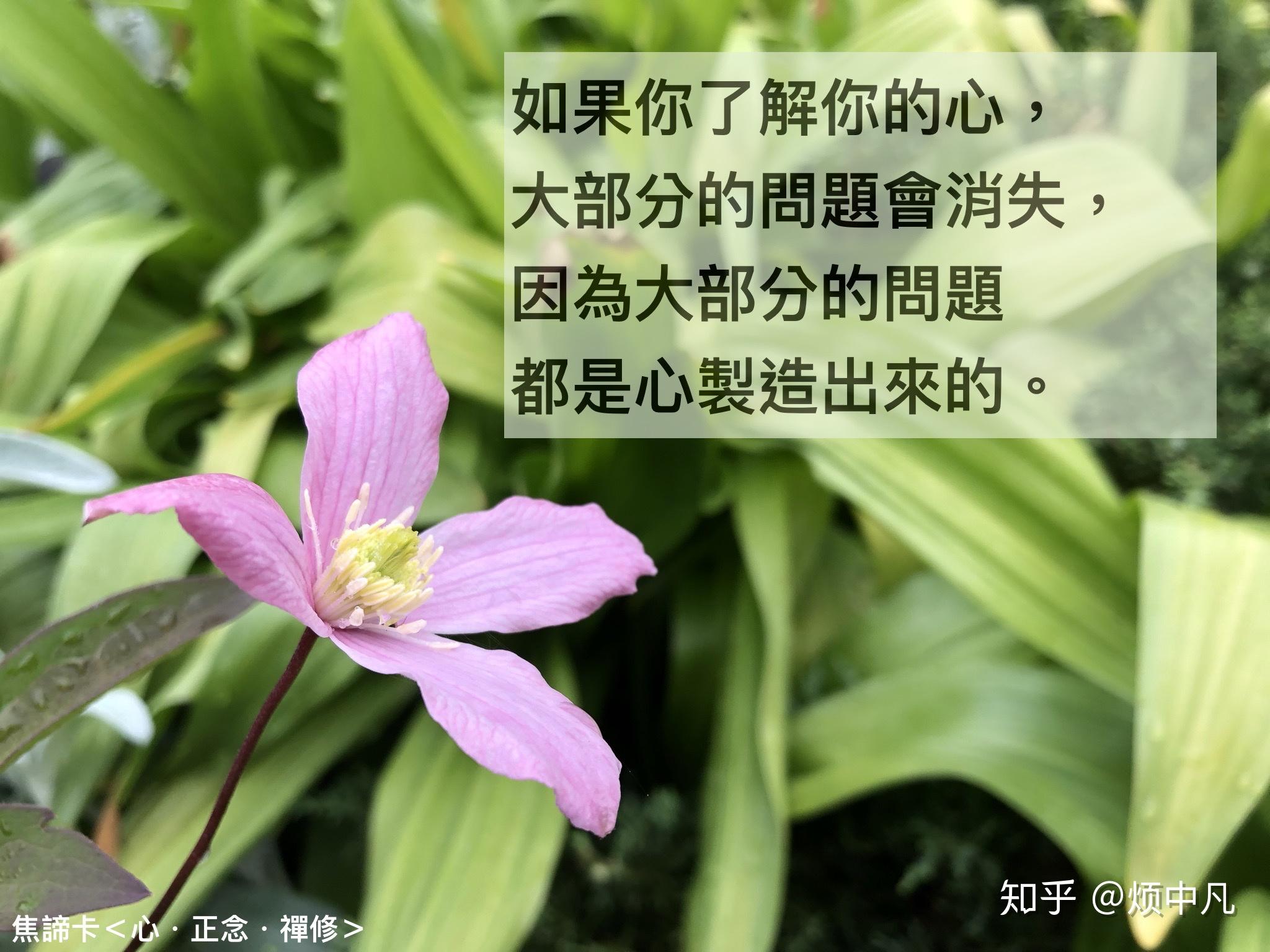 无論是好是坏,把心看做是无我的,观察它因为因缘具足而生起,不会独自