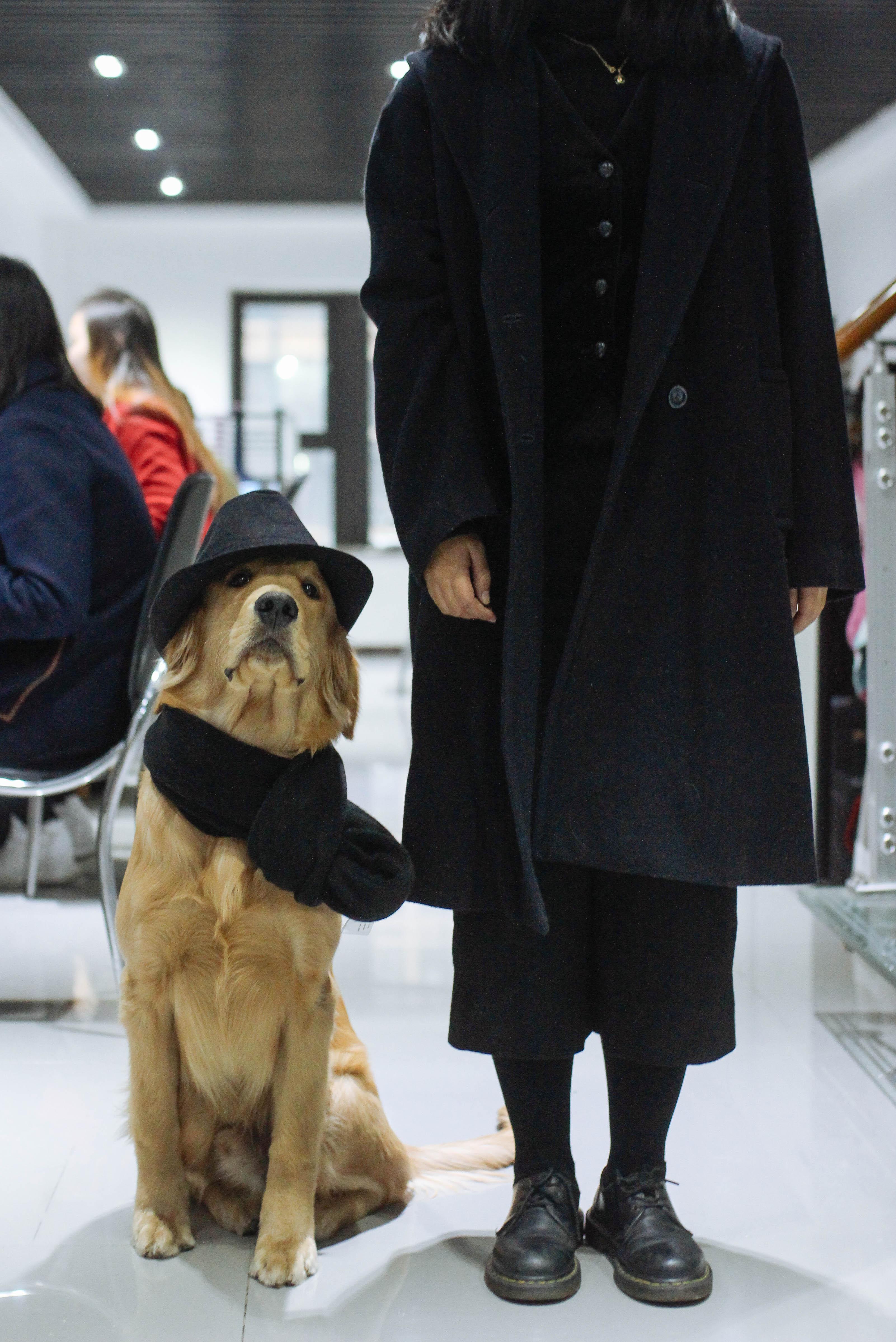 如何优雅地与宠物合照?