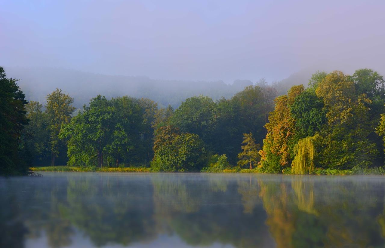4. 阳光全景视野