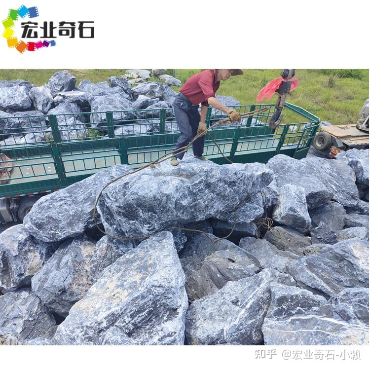相亲相爱一家人视频