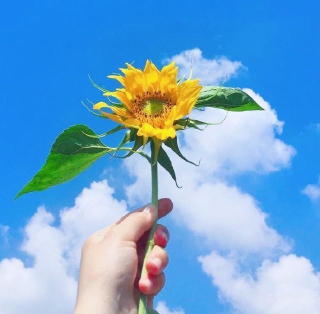 很经典的人生感悟语录