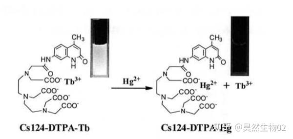 双功能荧光cs124-DTPA-Tb稀土离子Cyclen-GBLP银杏叶多糖PEG化大环配体 - 知乎