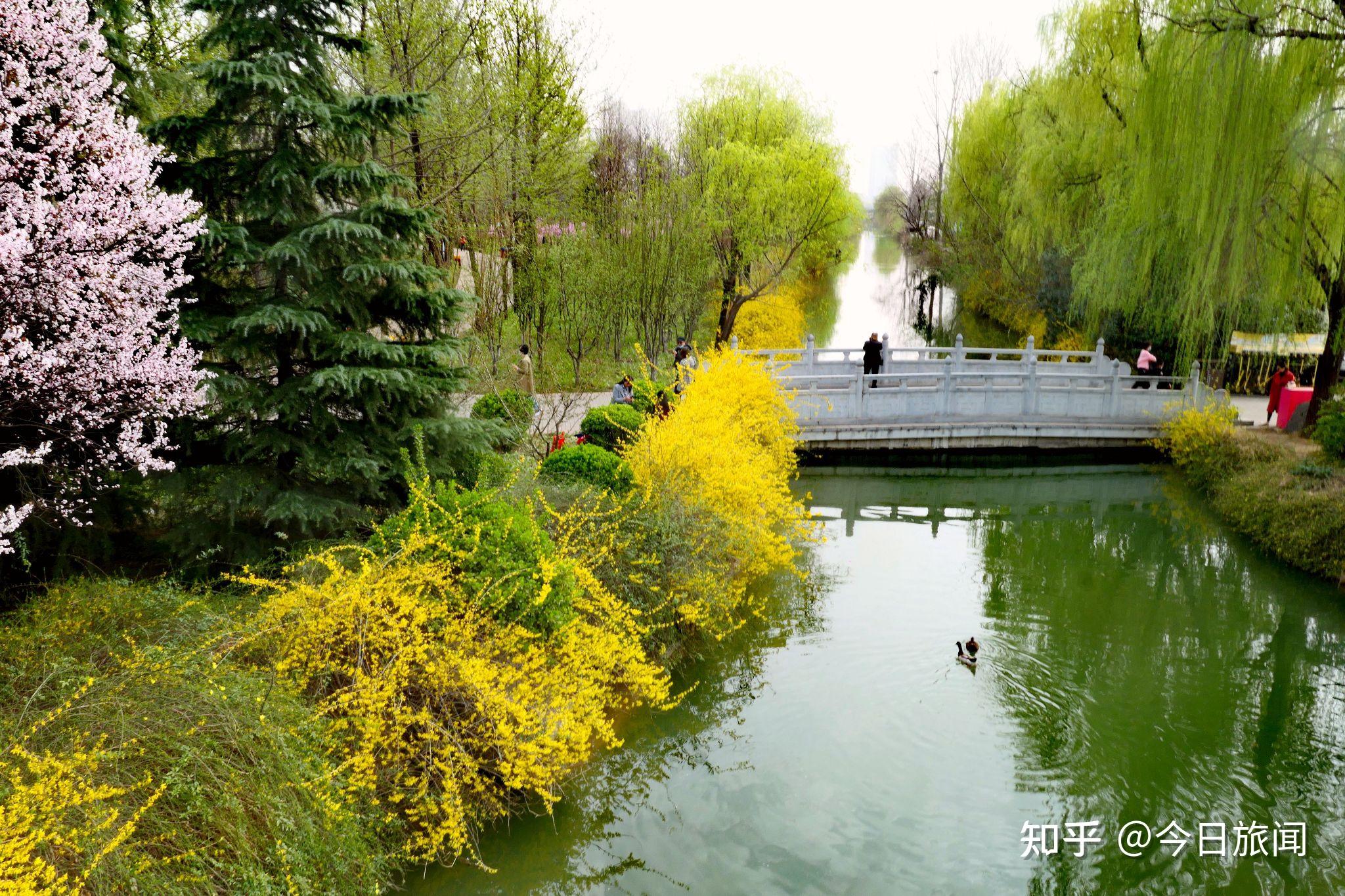 DX6440隋唐城遗址植物园随拍14片，2015-中关村在线摄影论坛