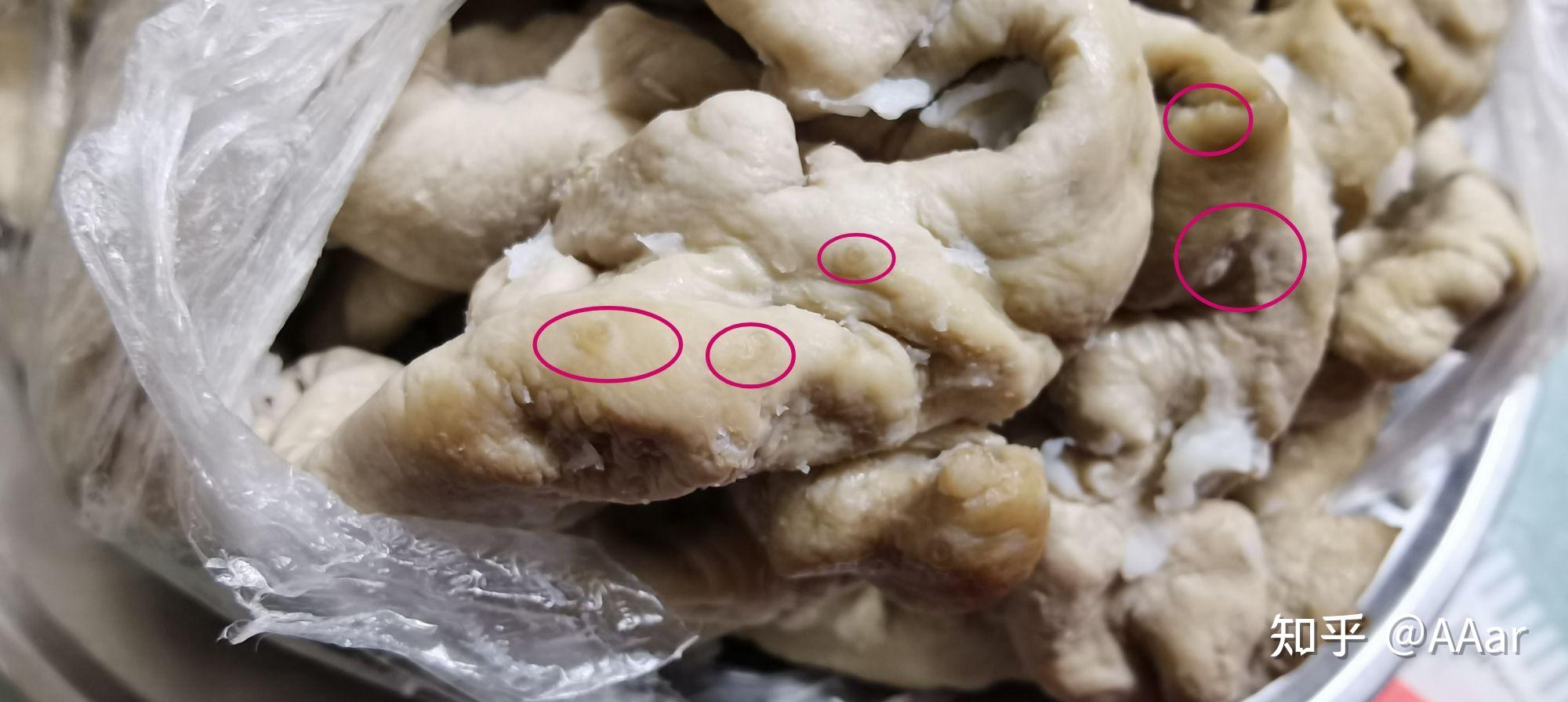 猪大肠上面长了圆形疙瘩带孔能吃吗? - 知乎