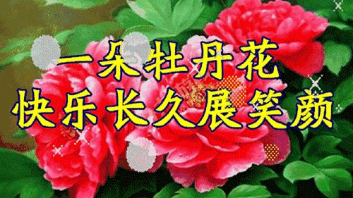 中老年表情包二