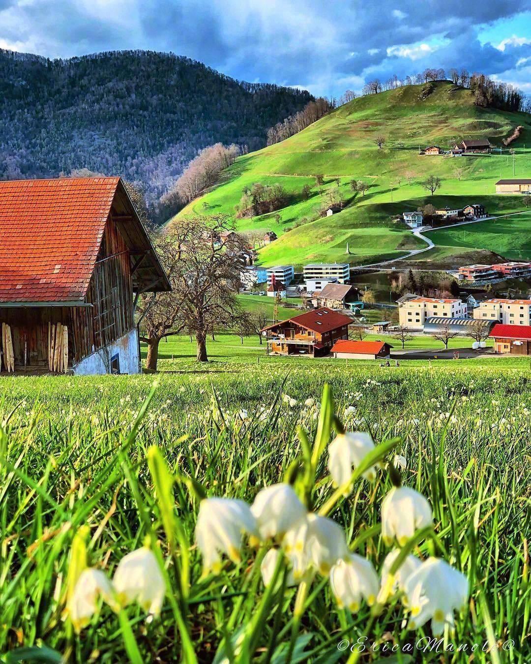 有什么适合微信状态的背景图吗? - 知乎