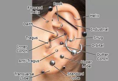 earring parts names