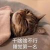 少年游