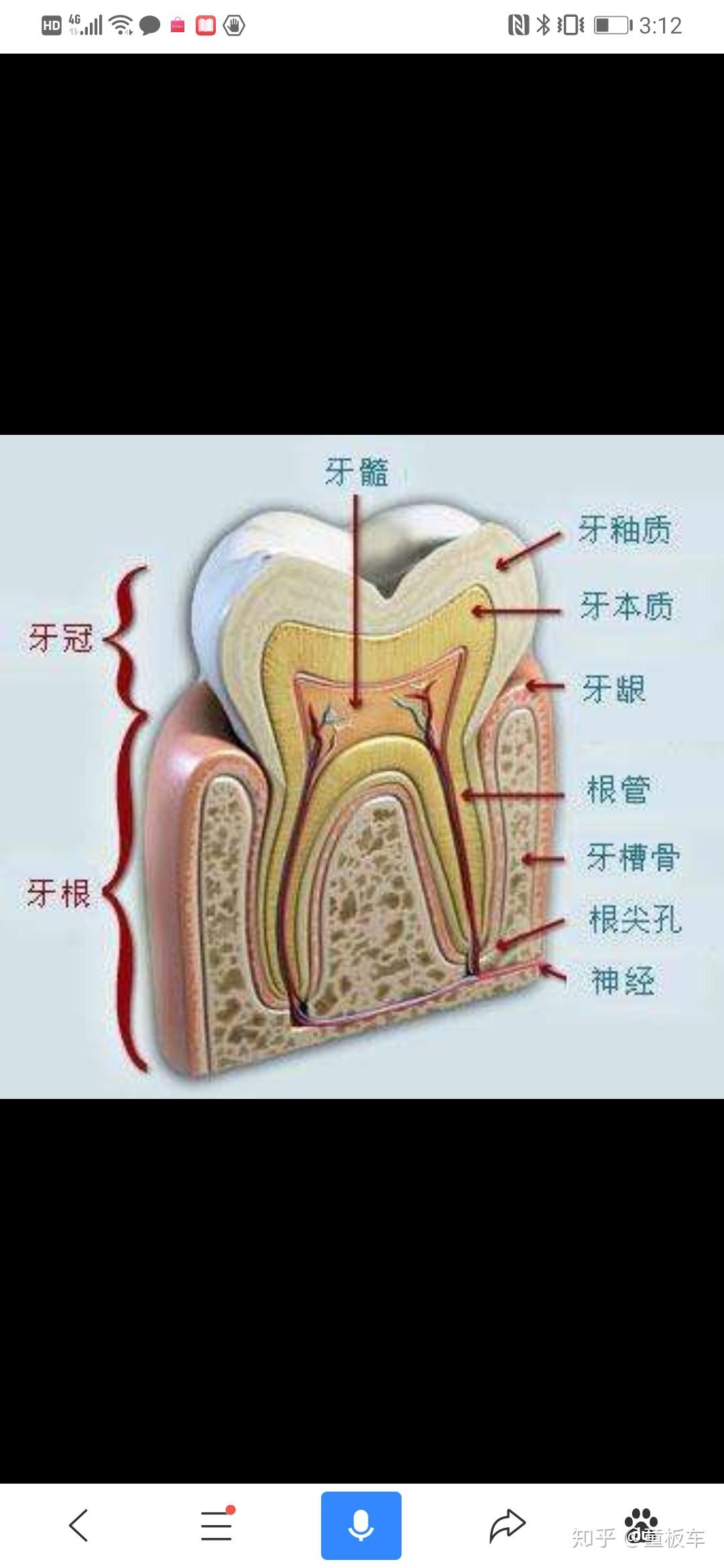 牙齿不好和身体有关吗