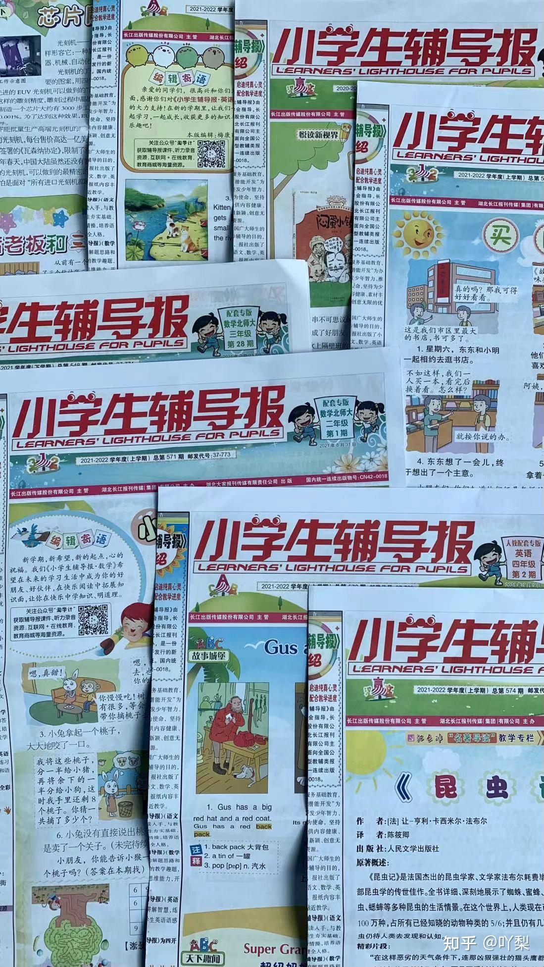 小学生辅导报参考答案图片