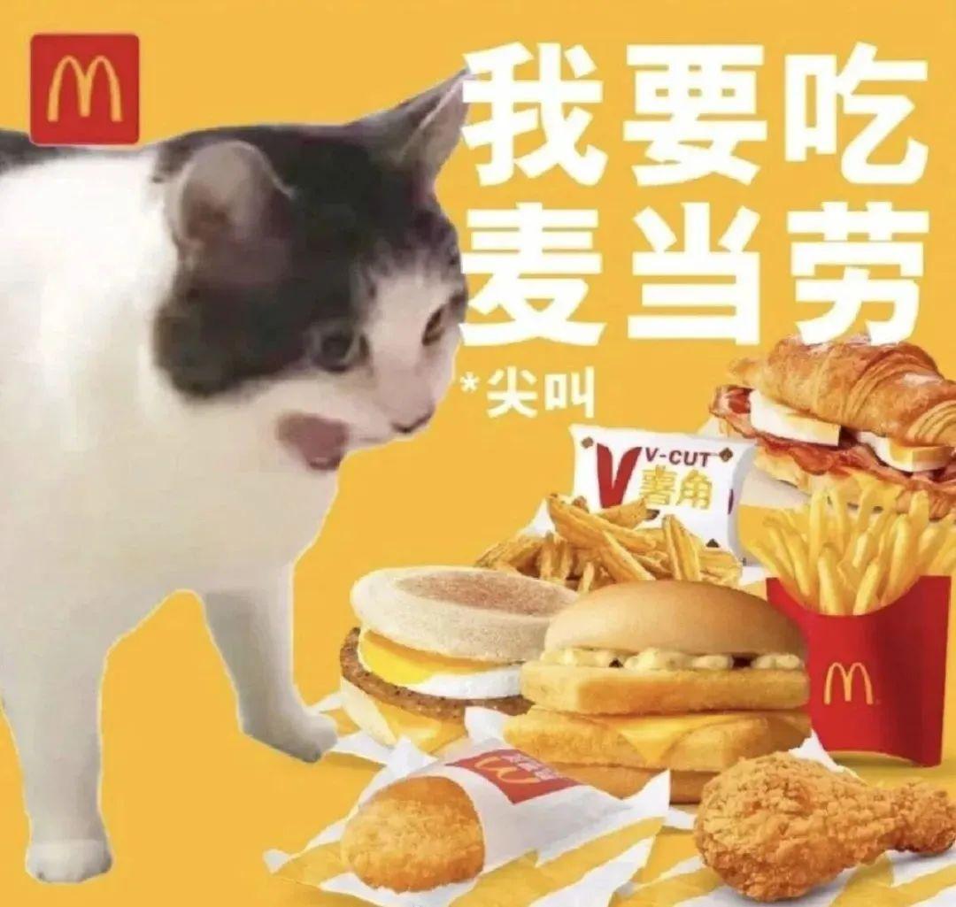 有多少年轻人自称是麦门信徒？ - 知乎