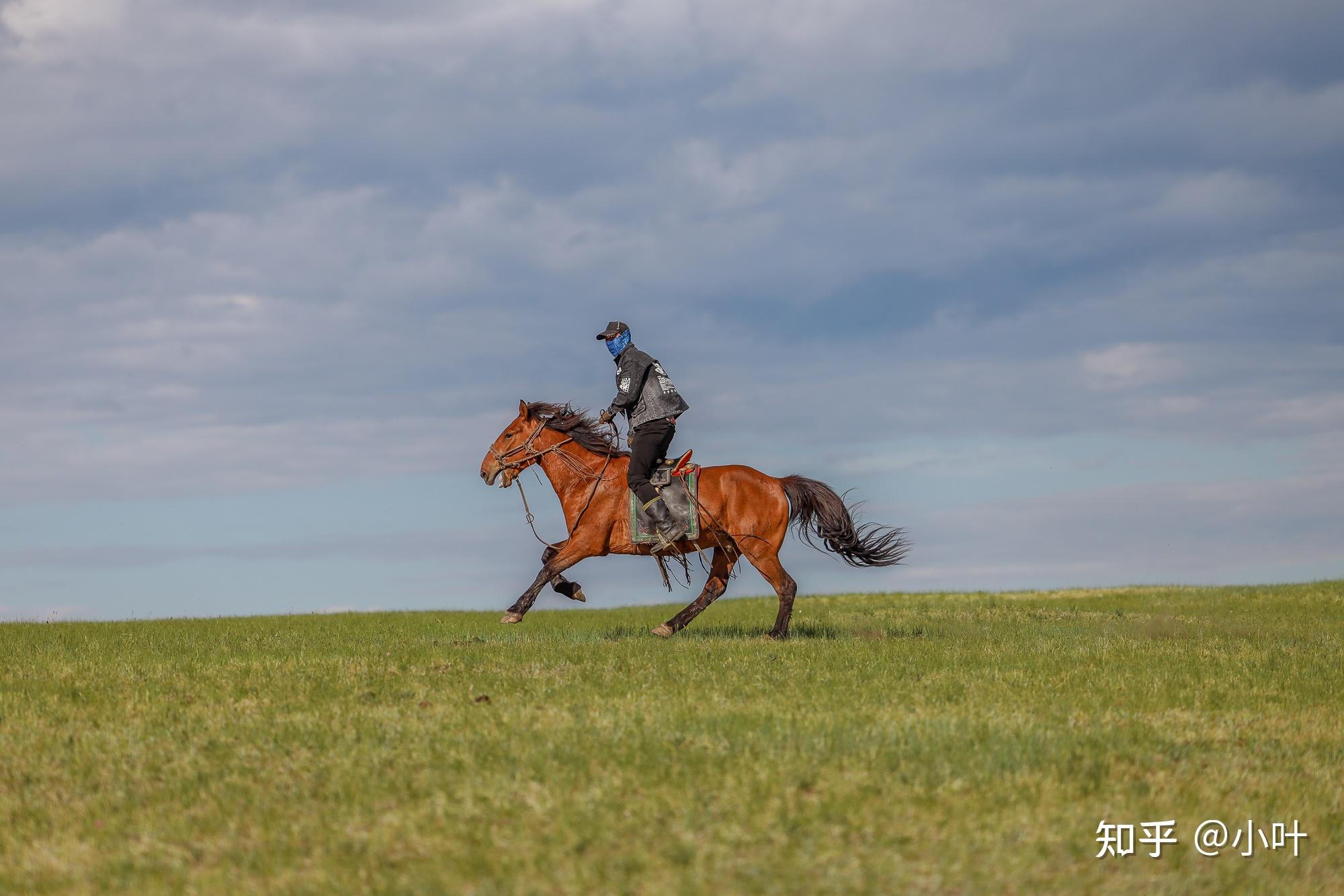 去呼伦贝尔草原骑马的最佳时节是什么时候