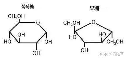 果糖分子式结构简式图片