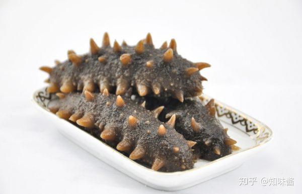 春节吃海参 看这篇指南就够了 知乎