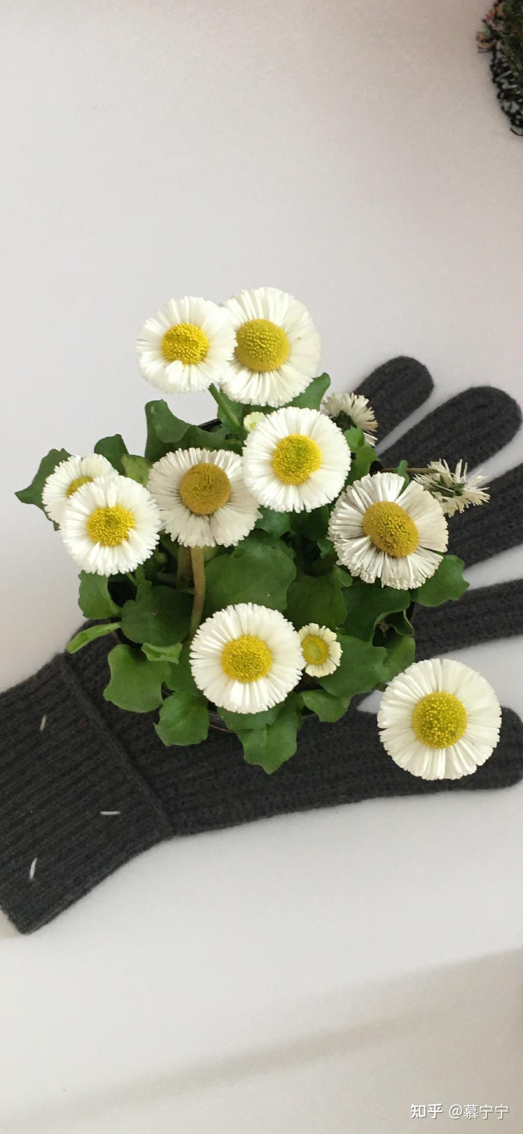 干净的INS风壁纸分享，好爱这种风格~ - 知乎