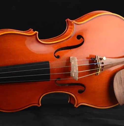 小提琴什么牌子好,小提琴哪个牌子的好,小提琴品牌十大排名,小提琴