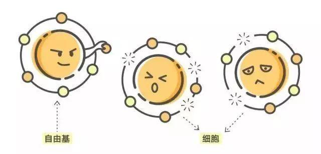 v2-ff9274e364a0ba67209e6146e9372bcd_1440w.jpg?source=172ae18b