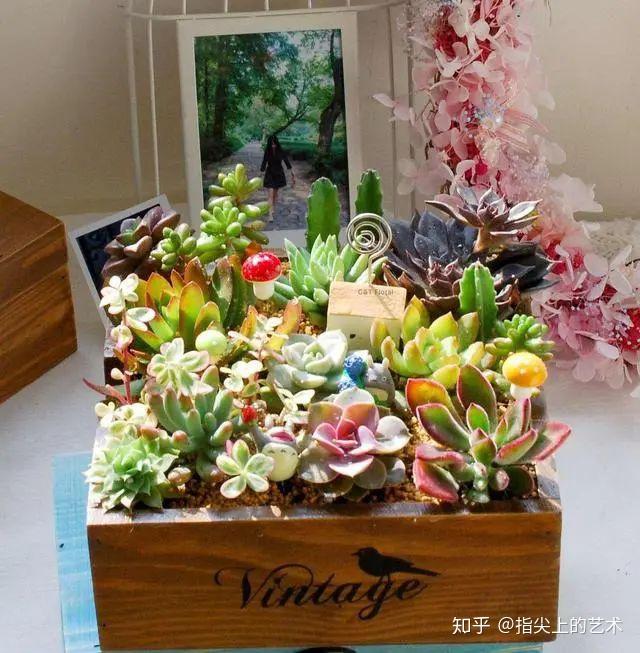 v2-ff96866f7a95f1e67a1d392aa32603f8_r.jpg