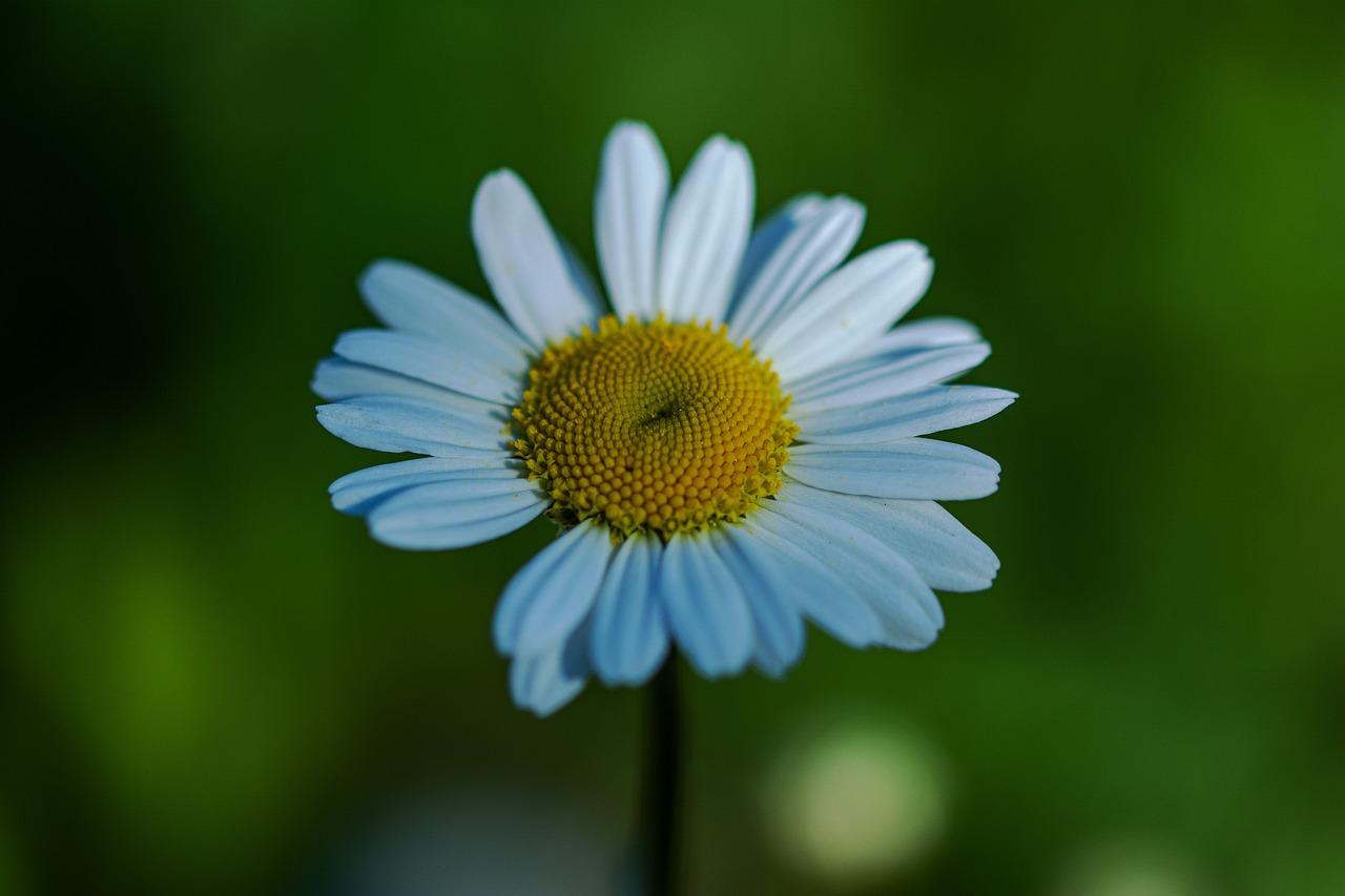 2. 生活配套齐全