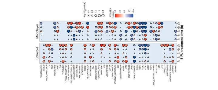 R语言中用ggplot2做相关性泡泡图 - 知乎