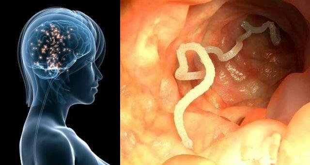 路遇别人的蛙儿子煮了吃滋补效果好吗怎么吃最安全