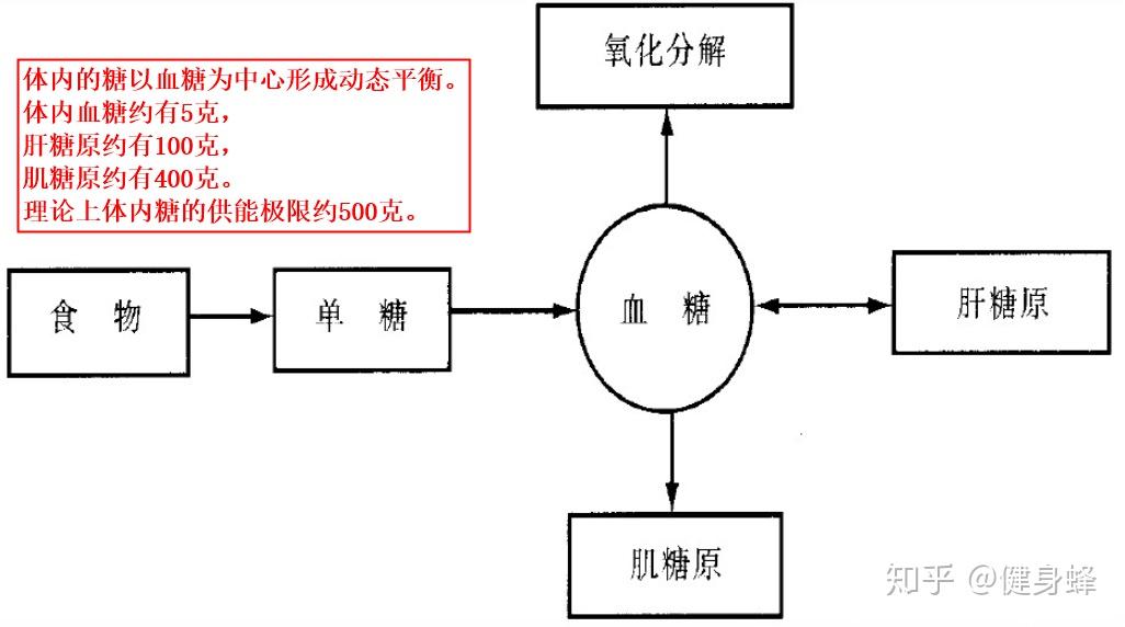 v2-ffaca182784f7782dbad3a661550f334_r.jpg